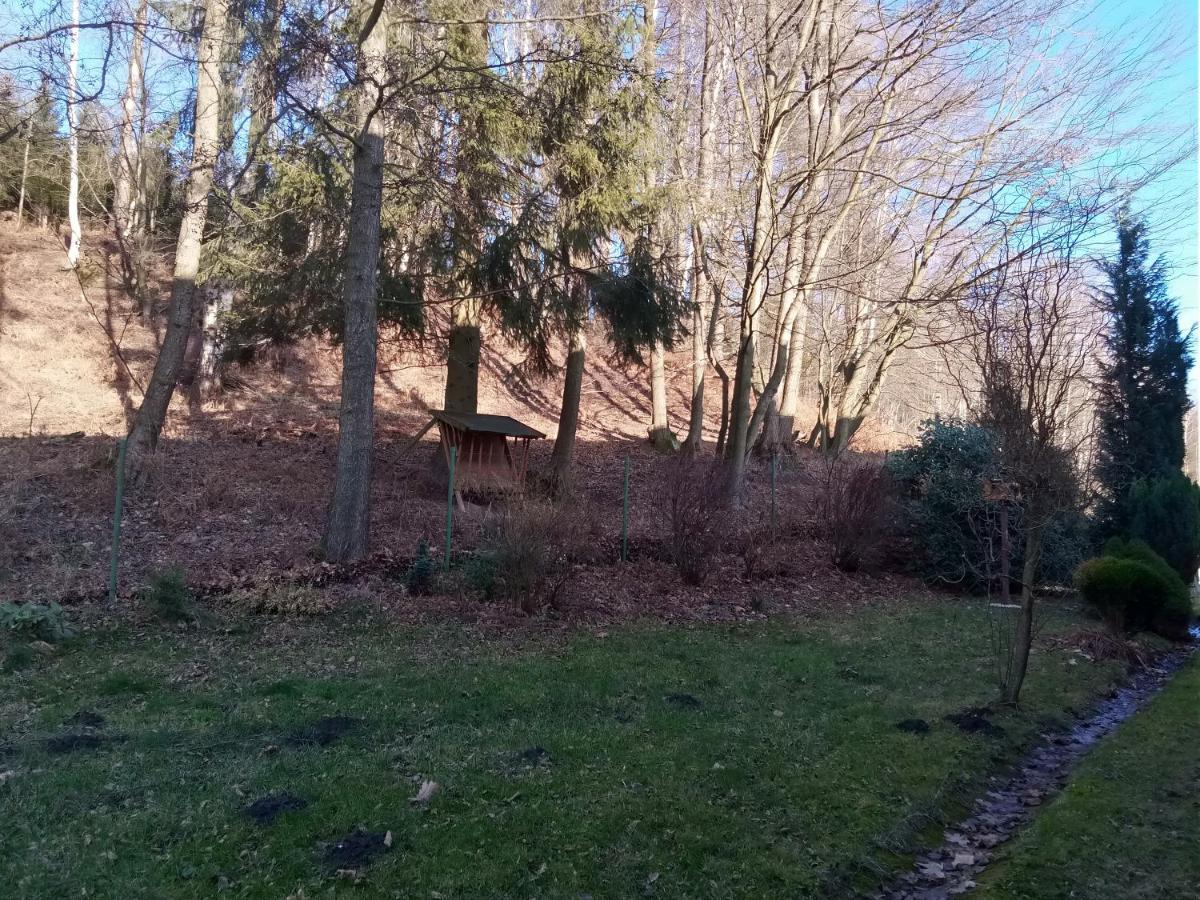 Apartmany Pod Prehradou Chřibská Exteriör bild